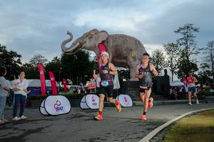 BIB: 
                            <button type="button" onclick="openModal(26529441)" class="btn btn-primary btn-sm float-right btn-popup" data-toggle="modal" data-target=".modal-high-quality">
                        <i class="fas fa-shopping-cart"></i> Add to Cart
                    </button>
                                            <button type="button" onclick="isThisMe(26529441, true)" class="btn btn-success btn-sm float-right btn-popup btn-isme hidden" data-toggle="tooltip" data-placement="bottom" title="นี่คือรูปของคุณใช่ไหม คลิกที่นี่เพื่อเอาเข้าอัลบั้ม">
                        <i class="fas fa-plus"></i> Add to album
                    </button>
                    <button type="button" onclick="isThisMe(26529441, false)" class="btn btn-warning btn-sm float-right btn-popup btn-isnotme hidden">
                        <i class="fas fa-ban"></i> Remove from album
                    </button>